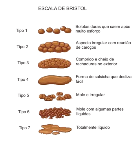 Classificação do tipo de fezes Instituto Brasileiro de Nutrição